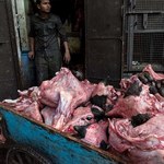 Konfiskata 40 letniego mięsa z przemytu!
