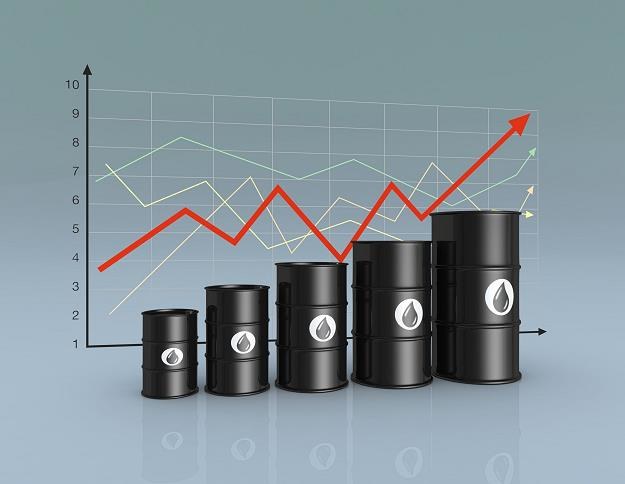 Konflikt na Bliskim Wschodzie winduje ceny ropy /&copy;123RF/PICSEL