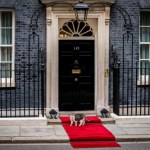 Konflikt zwierząt przy Downing Street 10. Pies premiera Wielkiej Brytanii nie zamieszka w jego rezydencji 