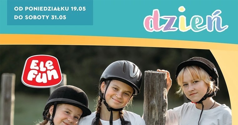 Konie na kiju w Biedronce do hobby Horsing /Biedronka /INTERIA.PL