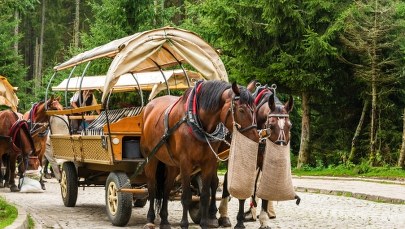 Konie nadal będą jeździć do Morskiego Oka. Jest porozumienie