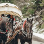 Konie odjechały, nad Morskim Okiem zapadł zmrok. Zaskoczeni turyści wezwali TOPR