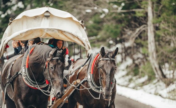 Konie odjechały, nad Morskim Okiem zapadł zmrok. Zaskoczeni turyści wezwali TOPR
