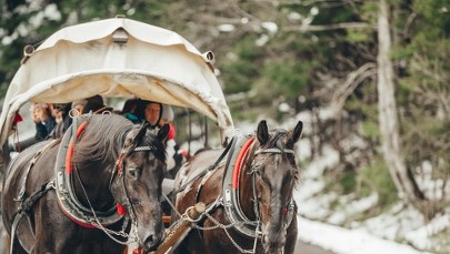 Konie odjechały, nad Morskim Okiem zapadł zmrok. Zaskoczeni turyści wezwali TOPR
