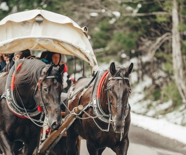 Konie odjechały, nad Morskim Okiem zapadł zmrok. Zaskoczeni turyści wezwali TOPR