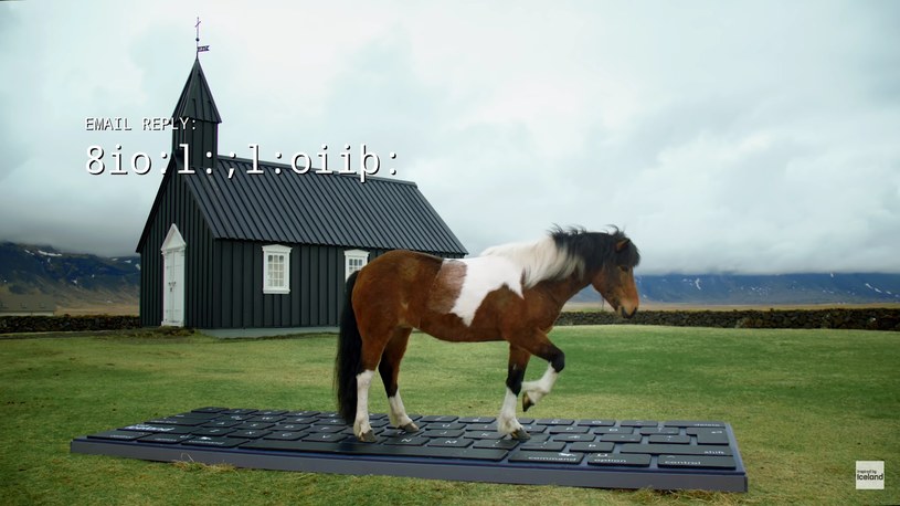 Konie pędzą po…, czyli oryginalny pomysł promocyjny Islandii