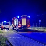 Konie wbiegły na drogę, wprost pod forda. Groźny wypadek w Łódzkiem