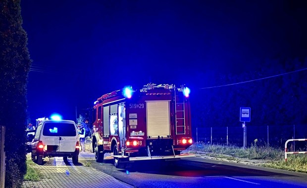 ​Konie wbiegły na drogę, wprost pod forda. Groźny wypadek w Łódzkiem 