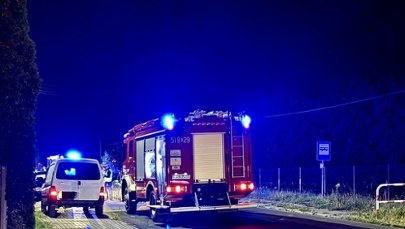 ​Konie wbiegły na drogę, wprost pod forda. Groźny wypadek w Łódzkiem 