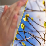 Koniec ciepłych kaloryferów? Oto, kiedy naprawdę skończy się sezon grzewczy