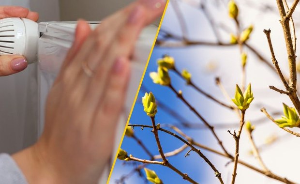 Koniec ciepłych kaloryferów? Oto, kiedy naprawdę skończy się sezon grzewczy