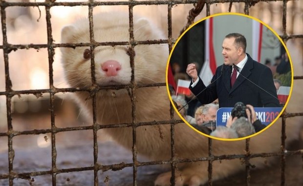 Koniec futrzarskiego biznesu? Polacy jasno o oczekiwaniach wobec decyzji prezydenta