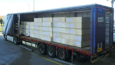 Koniec "kazachskiej" sklejki. Skarbówka skutecznie blokuje omijanie sankcji