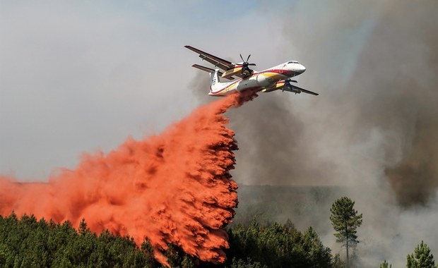 ​Koniec koszmaru! Ulewy pomagają w walce z pożarami lasów we Francji