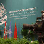 "Koniec orgii destrukcji" Rozpoczął się COP15 poświęcony bioróżnorodności