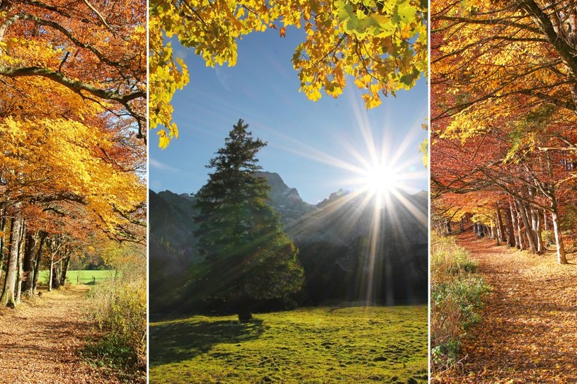 Koniec października upłynie pod znakiem bardzo przyjemnej i słonecznej aury. /123RF/PICSEL