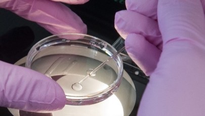 Koniec z finansowaniem procedur in vitro przez państwo