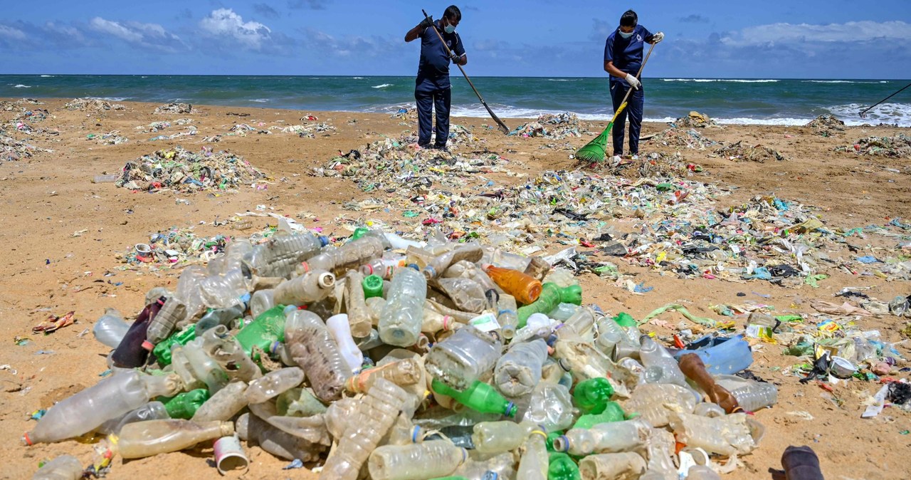 Koniec z plastikiem na plażach /AFP