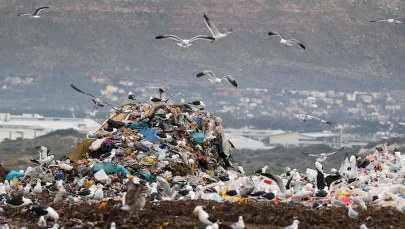 Koniec z plastikowymi sztućcami. Jest decyzja Parlamentu Europejskiego 