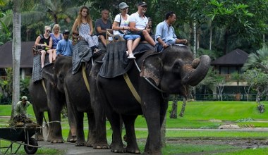 Koniec z popularną turystyczną atrakcją. Na jaw wyszła cała prawda