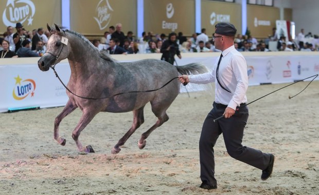 Koniec z wielką tradycją. Nie będzie Pride of Poland