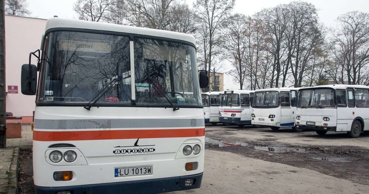 Koniec z "wolną amerykanką" w przewozach /Tomasz Rytych. /Reporter