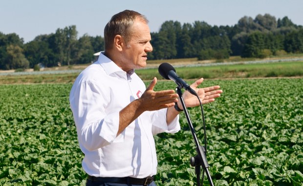 Konkrety i kłamstwa. PiS i PO walczą na hasztagi