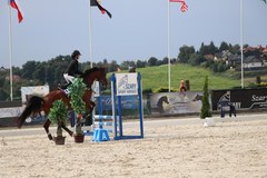 Konkurs skoków konia arabskiego