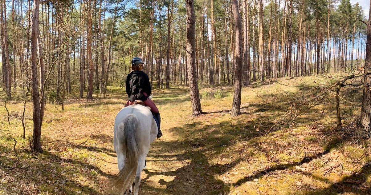 Konna Przystań potrzebuje pomocy w utrzymaniu /materiały prasowe