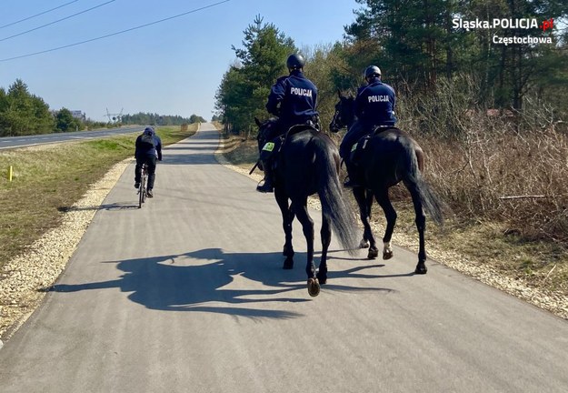 Konny policyjny pościg w Częstochowie /Policja