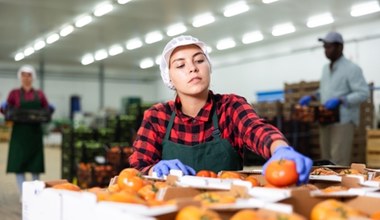 Konsekwencje pracy "na czarno". Co grozi pracownikowi i pracodawcy?