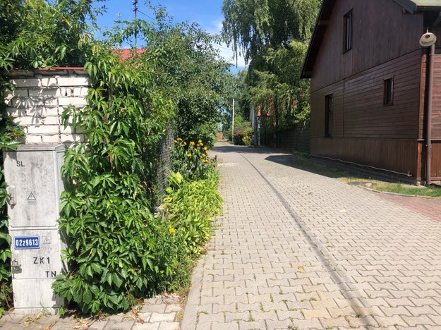 Konstancin-Jeziorna na Mazowszu to jedna ze 167 gmin, które apelują o oszczędzanie wody /Michał Dobrołowicz /RMF FM