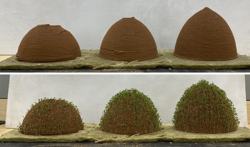Konstrukcje z nowego materiału kiełkują i pokrywają się roślinnością /Ehsan Baharlou/Uniwersytet Wirginii /materiały prasowe