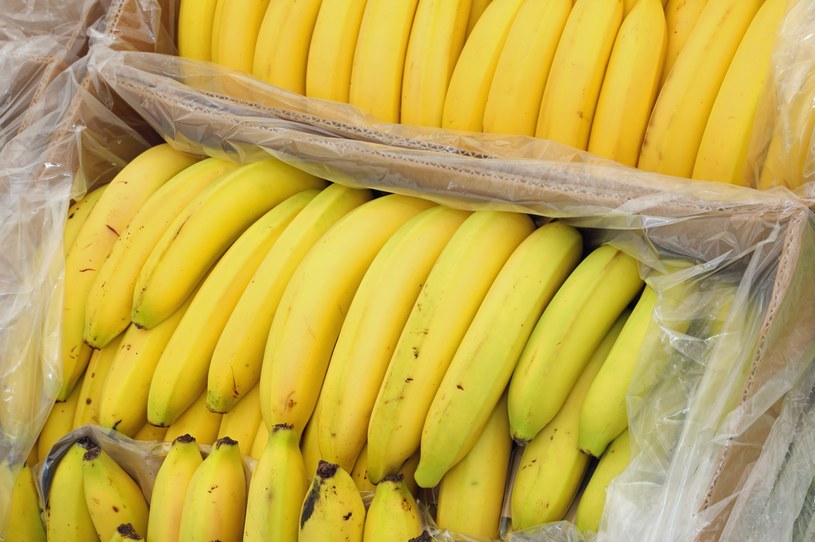 Kontenerów z bananami są tysiące, kokaina jest zaledwie w kilku lub kilkunastu /123RF/PICSEL
