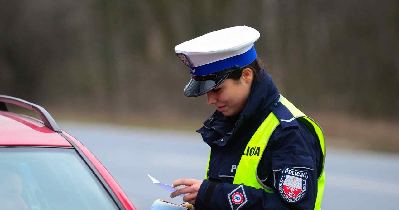 Kontrola policyjna może zakończyć się odebraniem dowodu rejestracyjnego /Paweł Skraba/REPORTER /East News