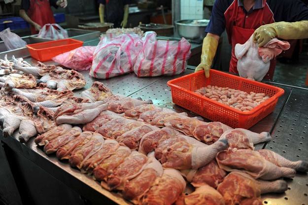 Kontrole polskiego mięsa w Czechach nie wykazały antybiotyków /AFP