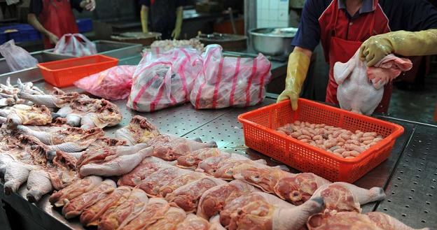 Kontrole polskiego mięsa w Czechach nie wykazały antybiotyków /AFP