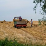 Kontrole u rolników. Przychodzą bez zapowiedzi, mogą pozbawić dopłat