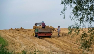 Kontrole u rolników. Przychodzą bez zapowiedzi, mogą pozbawić dopłat