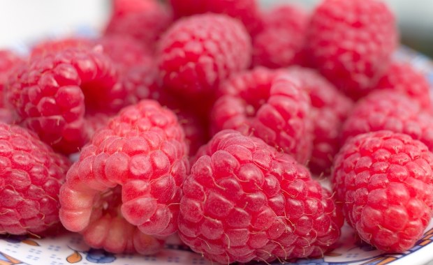 Kontrole w skupach malin. Wykryto pierwsze nieprawidłowości