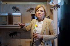 Kontrowersje wokół glifosatu. Wciąż dozwolony w UE