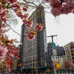 Kontrowersyjna aukcja Flatiron Building. Inwestor kupił kultowy nowojorski budynek, a potem się wycofał