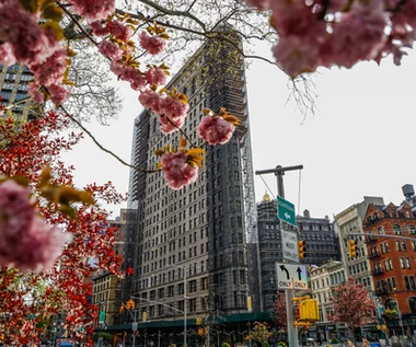 Kontrowersyjna aukcja Flatiron Building. Inwestor kupił kultowy nowojorski budynek, a potem się wycofał