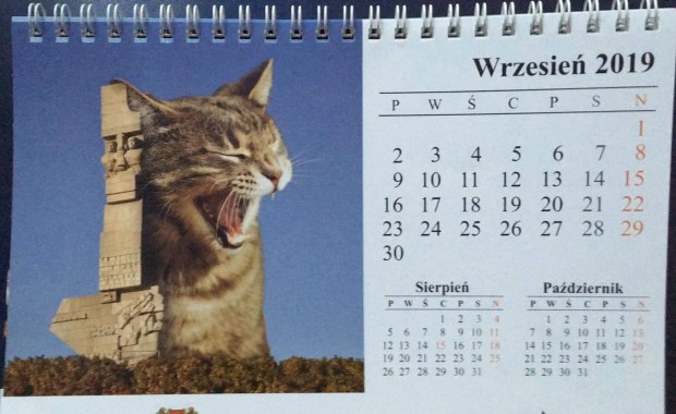 Kontrowersyjna kartka z kalendarza. Pomnik na Westerplatte i... kot 