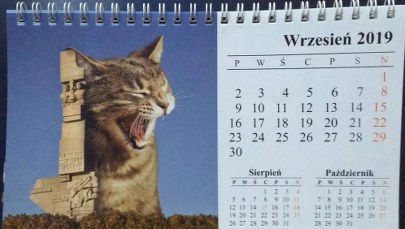Kontrowersyjna kartka z kalendarza. Pomnik na Westerplatte i... kot 