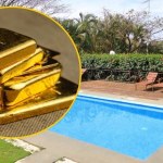 skarb Kopał basen, znalazł fortunę! Złote sztabki i monety za 700 tysięcy euro pod Lyonem