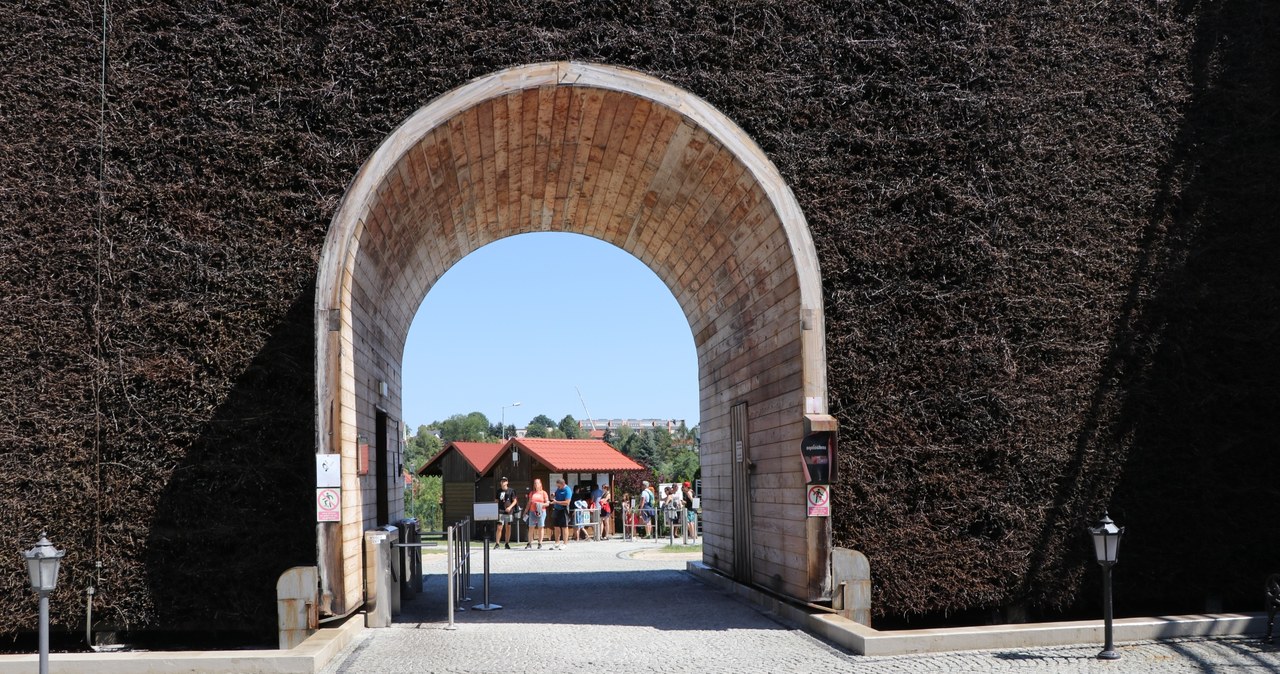 Kopalnia Soli "Wieliczka"