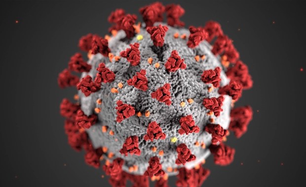 "Kopalnia złota" dla naukowców: Pół mln próbek DNA koronawirusa