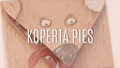 Koperta-pies