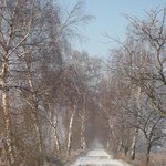 Kopex chce zbudować kopalnię o niskich kosztach, ale wyższych zarobkach